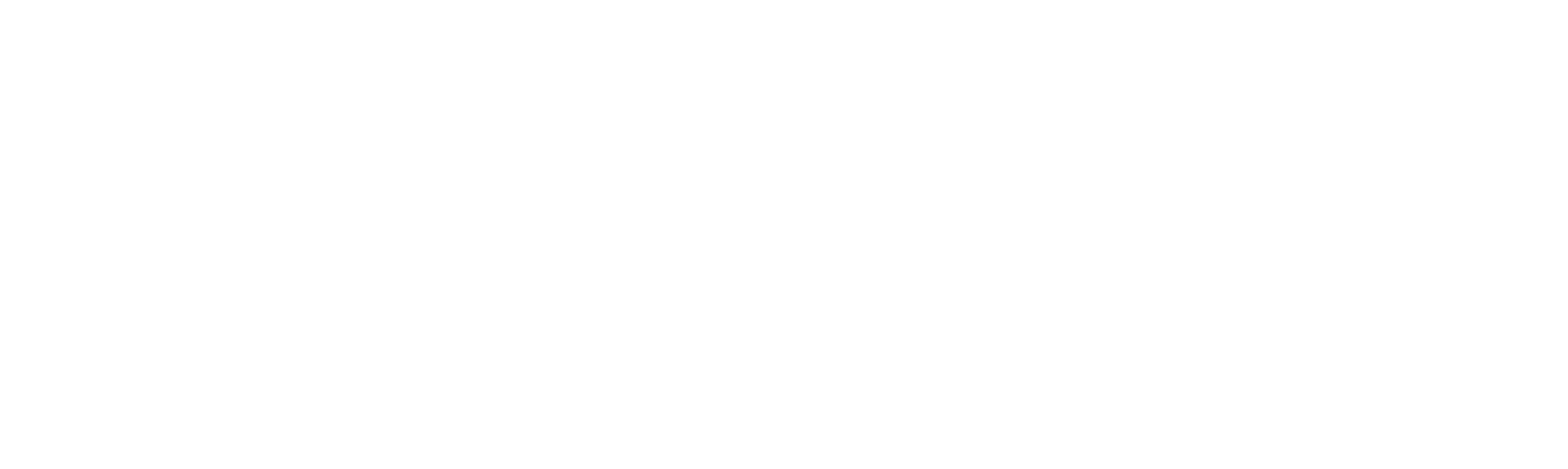Fox Detailing Logo